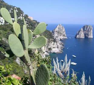 Küste von Capri