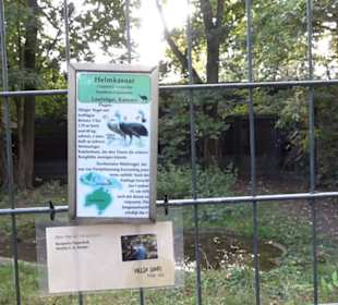 Zoologischer Garten