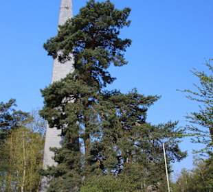 Martin-Luther-Kirche Burgdorf-Ehlershausen