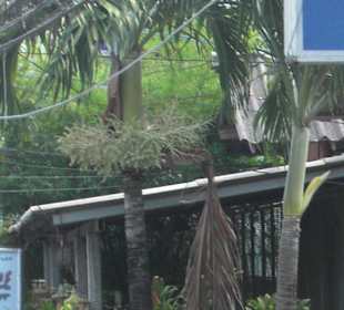 Das Restaurant