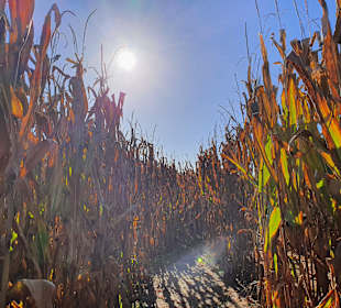 Bauer-Lipp Weiterstadt