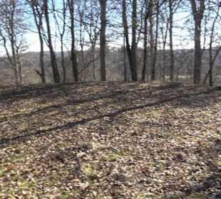 Ödenburg Oberstetten