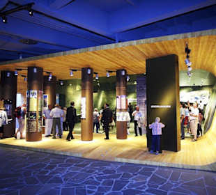 Bergwaldgalerie in den Nationalparkwelten