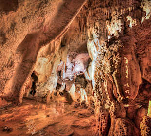 Cuevas de Urdax