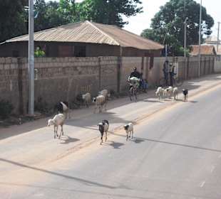 Fahrt durch das Land