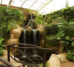 Mariposario de Benalmàdena