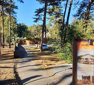 Naturpark Steinhuder Meer