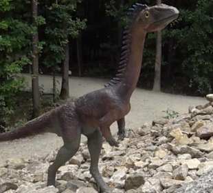 Dinosaurier Museum Altmühltal