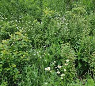 Überall Infos für die Besucher