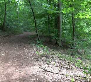 Wanderrunde Emeringen zum Rechtenstein