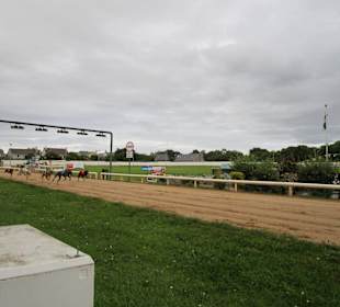 Windhundrennen Tralee