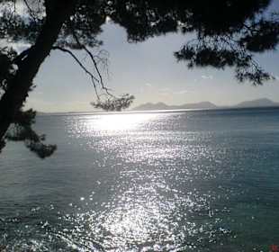 Unbedingt besuchen > FORMENTOR 2