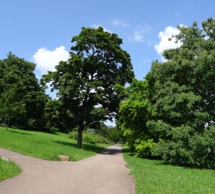 Höhenpark Killesberg