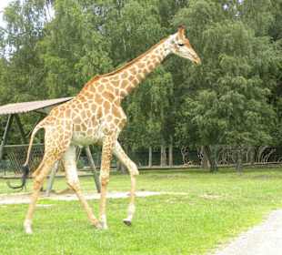 Serengeti Park Hodenhagen