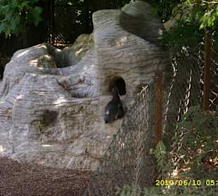 Tierpark Hagenbeck