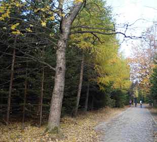 Riesengebirge/Karkonosze