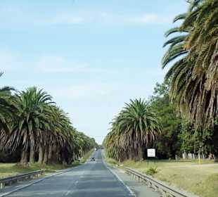 Colonia del Sacramento