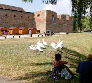 Făgăraș/Fogarasch