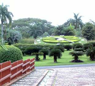 Botanischer Garten