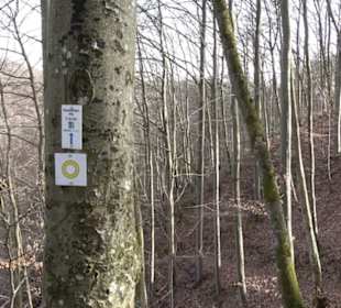 Premiumwanderweg Hohenwittlingensteig