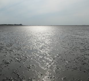 Wattenmeer-Wanderung an der Nordsee bei Cuxhaven