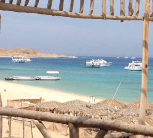 Ausblick von der Terrasse