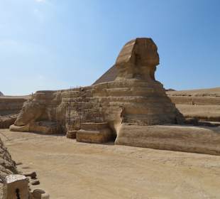 Sphinx von Gizeh