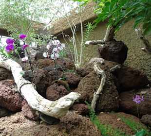 Palmitos Park