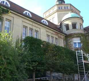Botanischer Garten München
