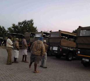 Krüger Nationalpark