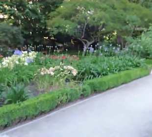 Real Jardín Botánico