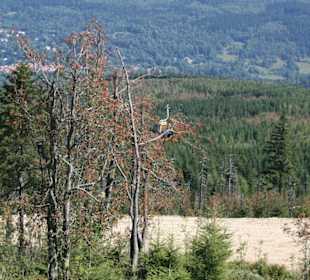 Im Tal Bad Flinsberg-östl. Ortsteil