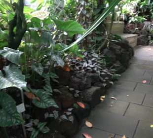 Tropicarium