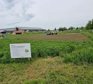 Richtung Ost-Eingang