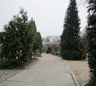 Breslauer Altstadt Botanischer Garten