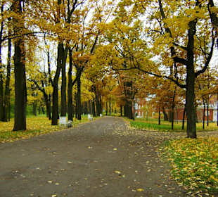 Park Katarzyny