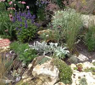 Blühendes Neresheim 2021