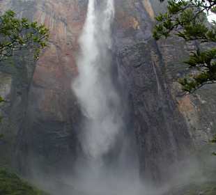 Wasserpracht am Orinoco