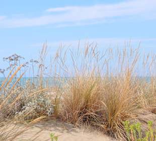 Strand beim Torre de Castelmarino