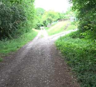 Wanderweg - Alter Steinbruch Pfaffenberg Runde