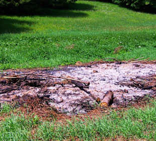Wanderung zum Bärenfels