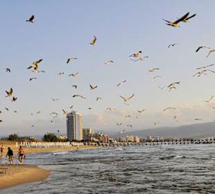 Plaża w Słonecznym Brzegu