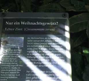 Botanischer Garten der Universität Zürich
