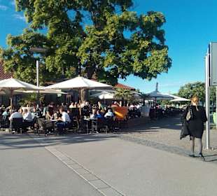  Фото променада в Констанце