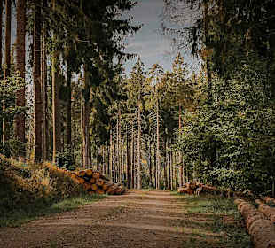 Wandern Geisfeld