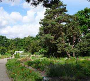 Spaziergang durch den Botanischen Garten Bremen