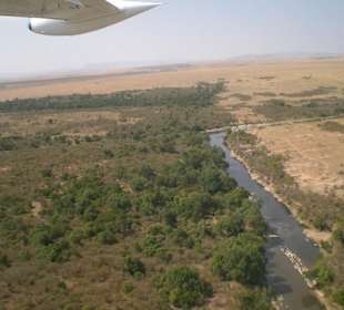 Masai Mara Fluß von oben
