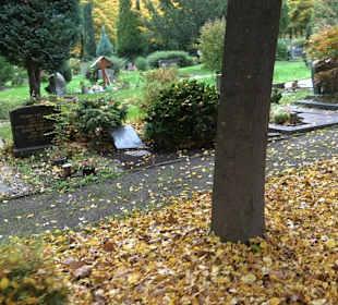 Hauptfriedhof Friedrichshafen