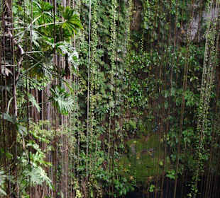 Cenote