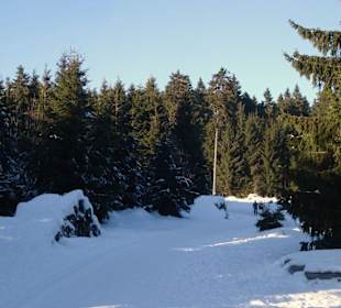 Weg Richtung Veilchenbrunn